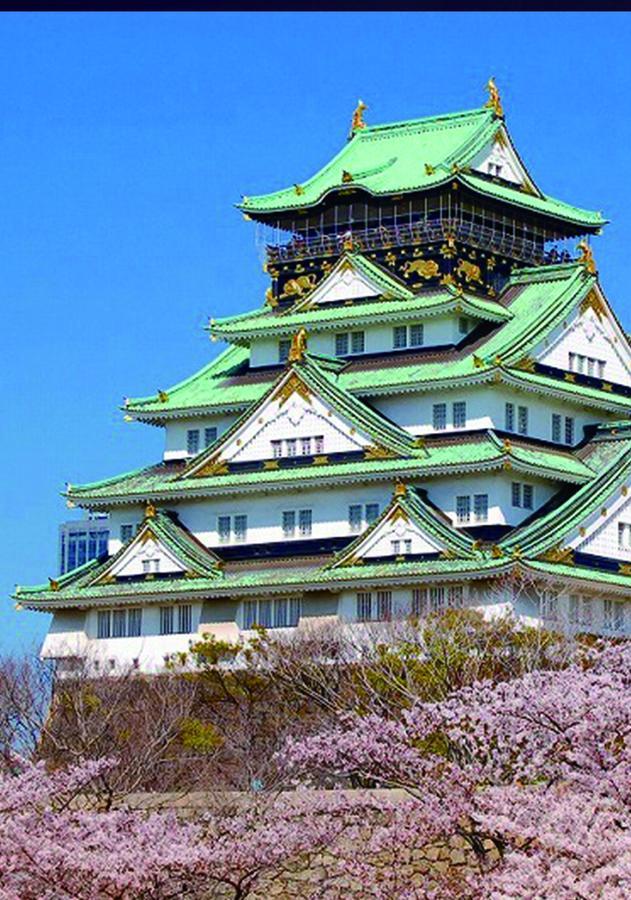 大阪市 Shirakabanoyado-Taishoヴィラ エクステリア 写真